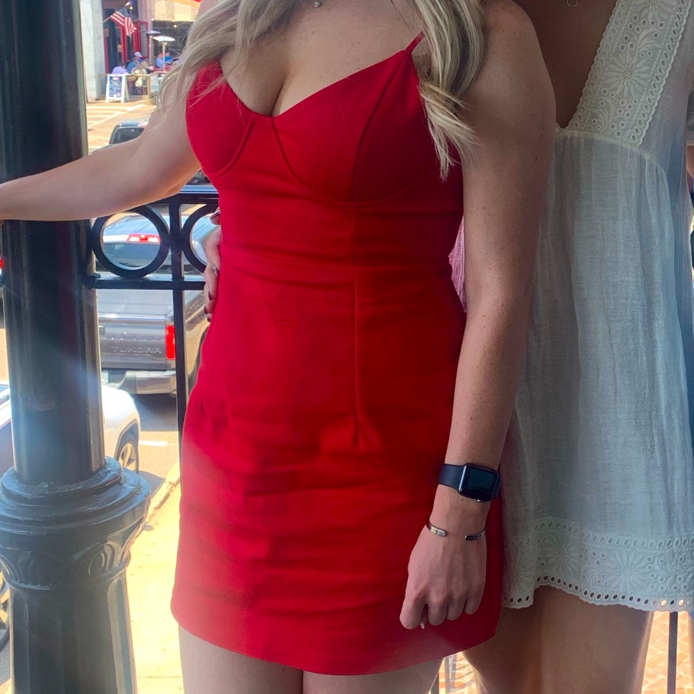 Princess Polly Dress